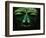 Teotihuacan Mosaic Sculpture Mask-Randy Faris-Framed Photographic Print