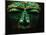 Teotihuacan Mosaic Sculpture Mask-Randy Faris-Mounted Photographic Print