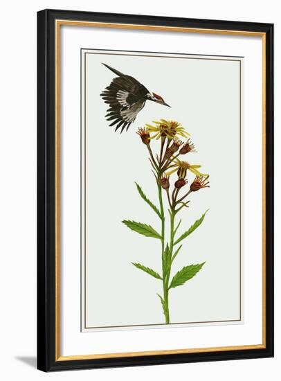 Tephroseris Flammea I-Melissa Wang-Framed Art Print