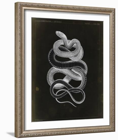 Tepozteco-Chris Dunker-Framed Giclee Print