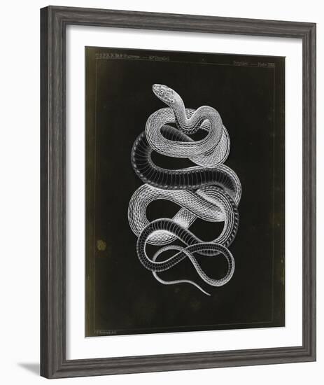 Tepozteco-Chris Dunker-Framed Giclee Print