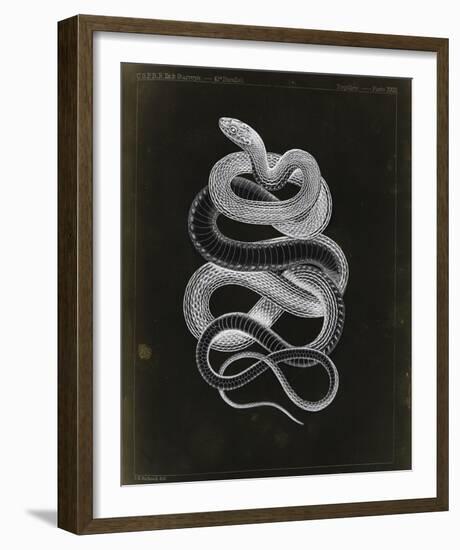 Tepozteco-Chris Dunker-Framed Giclee Print