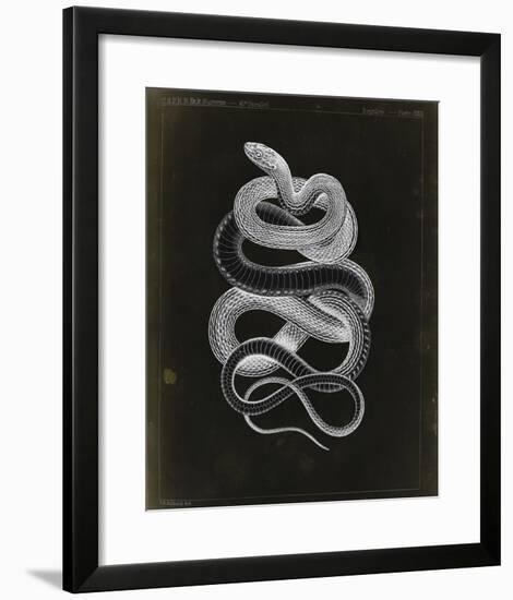 Tepozteco-Chris Dunker-Framed Giclee Print