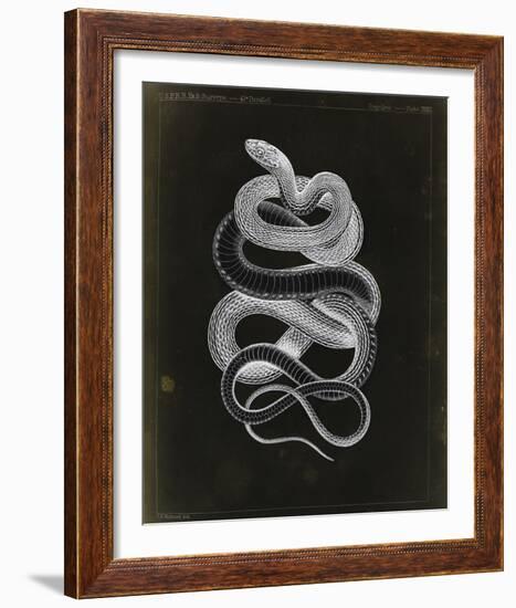 Tepozteco-Chris Dunker-Framed Giclee Print