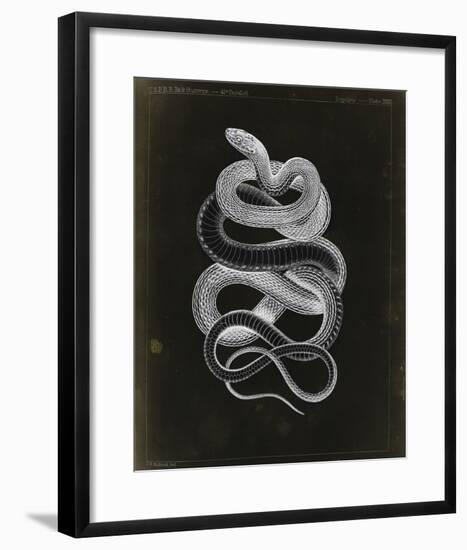 Tepozteco-Chris Dunker-Framed Giclee Print