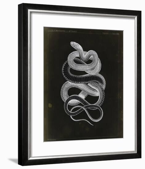 Tepozteco-Chris Dunker-Framed Giclee Print