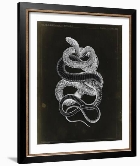 Tepozteco-Chris Dunker-Framed Giclee Print