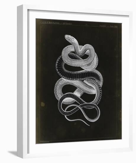 Tepozteco-Chris Dunker-Framed Giclee Print