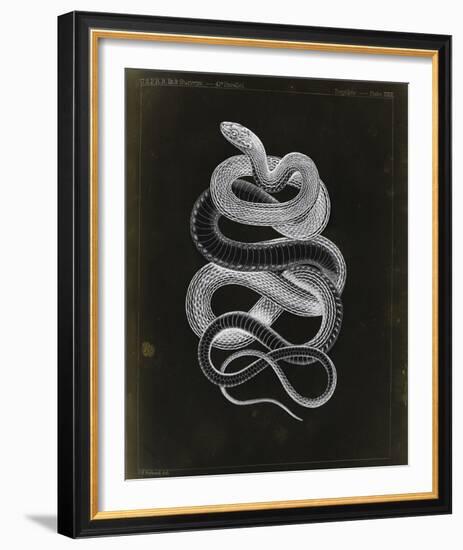 Tepozteco-Chris Dunker-Framed Giclee Print