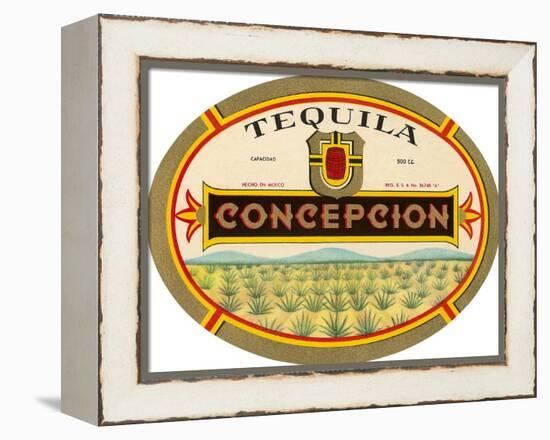 Tequila Concepcion-null-Framed Stretched Canvas