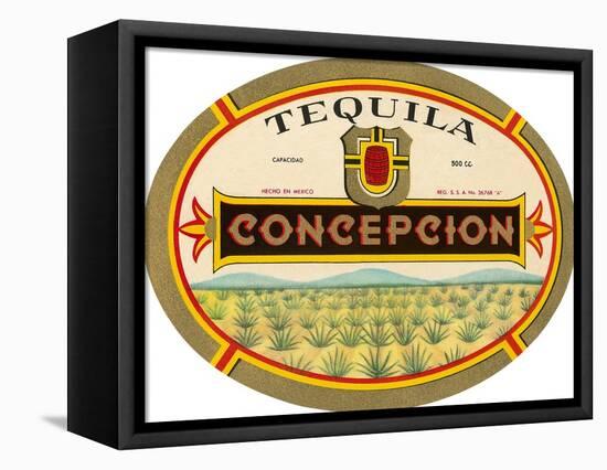 Tequila Concepcion-null-Framed Stretched Canvas