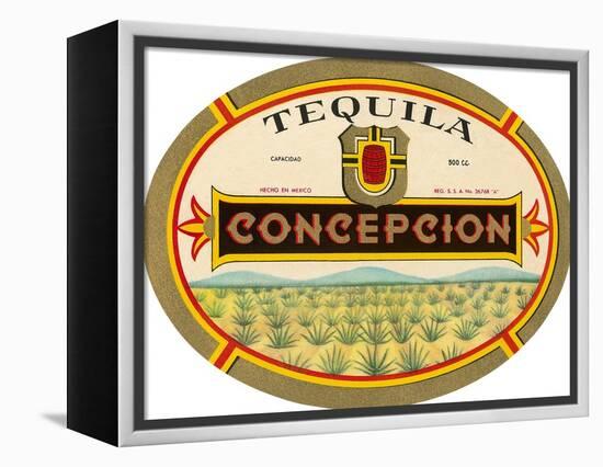 Tequila Concepcion-null-Framed Stretched Canvas