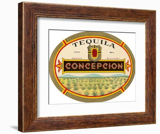 Tequila Concepcion-null-Framed Art Print