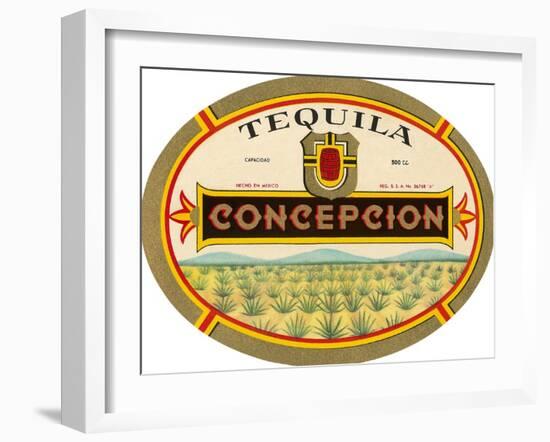 Tequila Concepcion-null-Framed Art Print