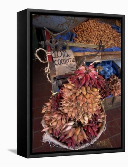 Tequila Fruit for Sale on a Stall in Mexico, North America-Michelle Garrett-Framed Premier Image Canvas