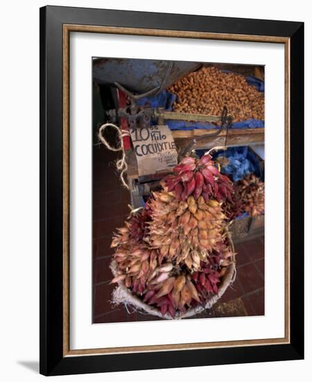 Tequila Fruit for Sale on a Stall in Mexico, North America-Michelle Garrett-Framed Photographic Print