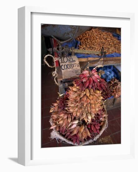 Tequila Fruit for Sale on a Stall in Mexico, North America-Michelle Garrett-Framed Photographic Print