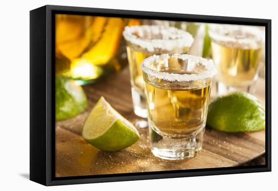 Tequila Shots with Lime and Salt-bhofack22-Framed Premier Image Canvas