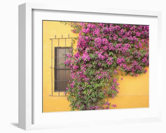 Tequisquipan, Queretaro State, Mexico, North America-Wendy Connett-Framed Photographic Print