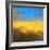 Tera Textures II-Herb Dickinson-Framed Photographic Print