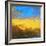 Tera Textures II-Herb Dickinson-Framed Photographic Print