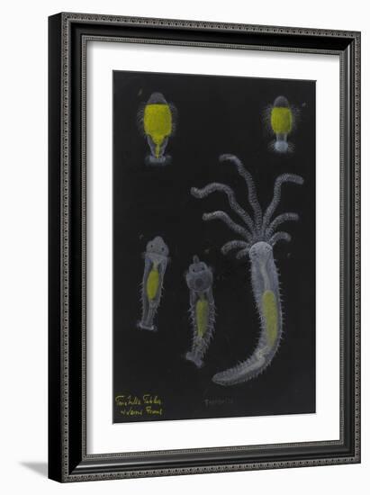 Terebella: Marine Worm-Philip Henry Gosse-Framed Giclee Print