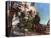 Stretched Canvas Print