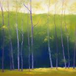 Deep Woods in Summer-Teri Jonas-Framed Giclee Print