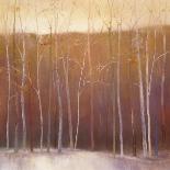 Deep Woods in Autumn-Teri Jonas-Giclee Print