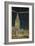 Terminal Tower, Hotel Cleveland, Night-null-Framed Art Print