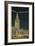 Terminal Tower, Hotel Cleveland, Night-null-Framed Art Print