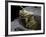Termite Emerging From Wood, SEM-Steve Gschmeissner-Framed Photographic Print