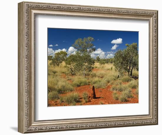 Termite Mounds in the Outback, Queensland, Australia, Pacific-Schlenker Jochen-Framed Photographic Print