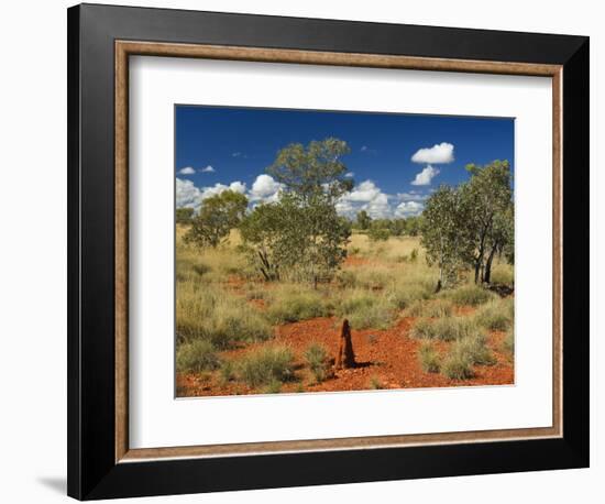 Termite Mounds in the Outback, Queensland, Australia, Pacific-Schlenker Jochen-Framed Photographic Print