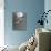 Tern Flying Through the Sky Above the Great Barrier Reef-Fritz Goro-Photographic Print displayed on a wall