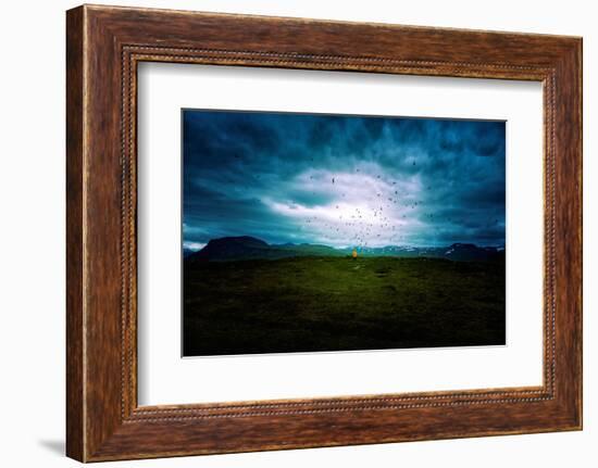 Tern Study Area, North Iceland Birds and Sky Drama-Vincent James-Framed Photographic Print