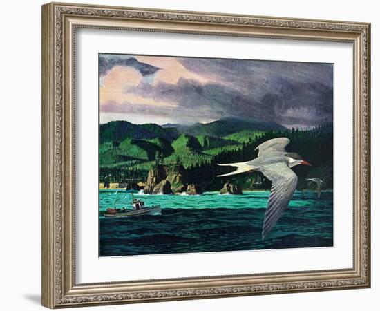 Terns In Flight-Stan Galli-Framed Giclee Print