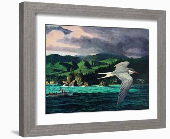 Terns In Flight-Stan Galli-Framed Giclee Print