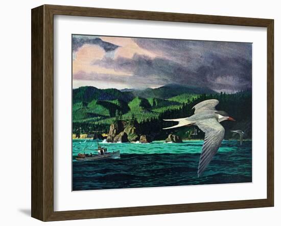 Terns In Flight-Stan Galli-Framed Giclee Print