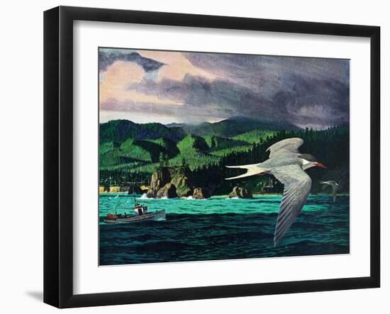 Terns In Flight-Stan Galli-Framed Giclee Print