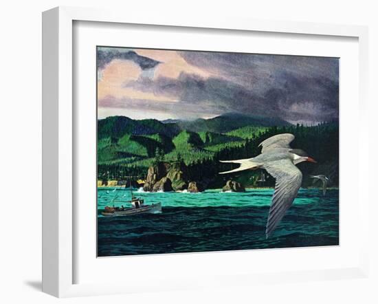 Terns In Flight-Stan Galli-Framed Giclee Print