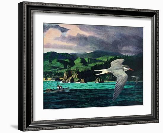 Terns In Flight-Stan Galli-Framed Giclee Print