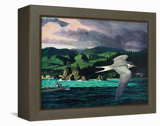 Terns In Flight-Stan Galli-Framed Premier Image Canvas