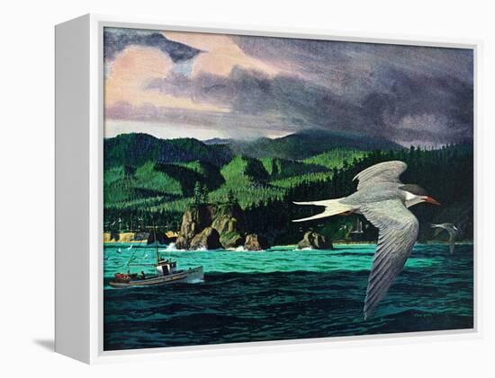 Terns In Flight-Stan Galli-Framed Premier Image Canvas