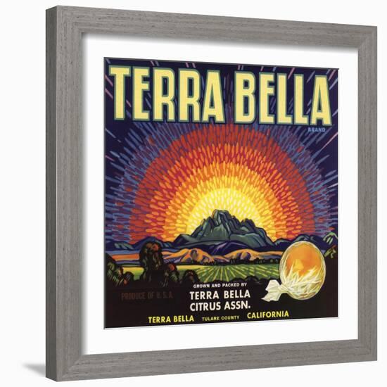 Terra Bella Brand - Terra Bella, California - Citrus Crate Label-Lantern Press-Framed Art Print