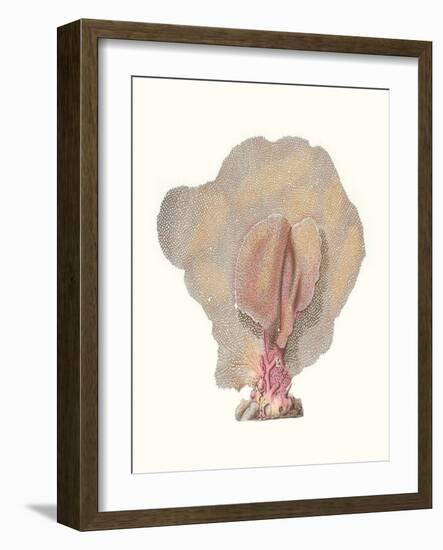 Terra Cotta Coral III-Unknown-Framed Art Print