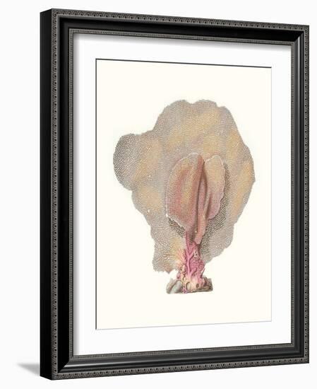 Terra Cotta Coral III-Unknown-Framed Art Print