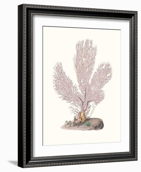 Terra Cotta Coral IV-Unknown-Framed Art Print