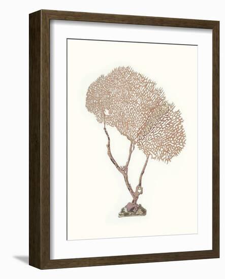 Terra Cotta Coral V-Unknown-Framed Art Print