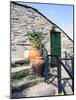 Terra Cotta Pots near Doorway, Vernazza, Italy-Julie Eggers-Mounted Photographic Print